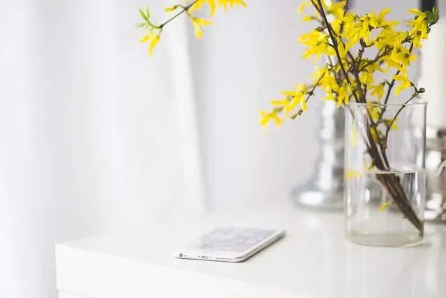 Les Avantages des Services de Sécurité Mobile pour Votre Domicile